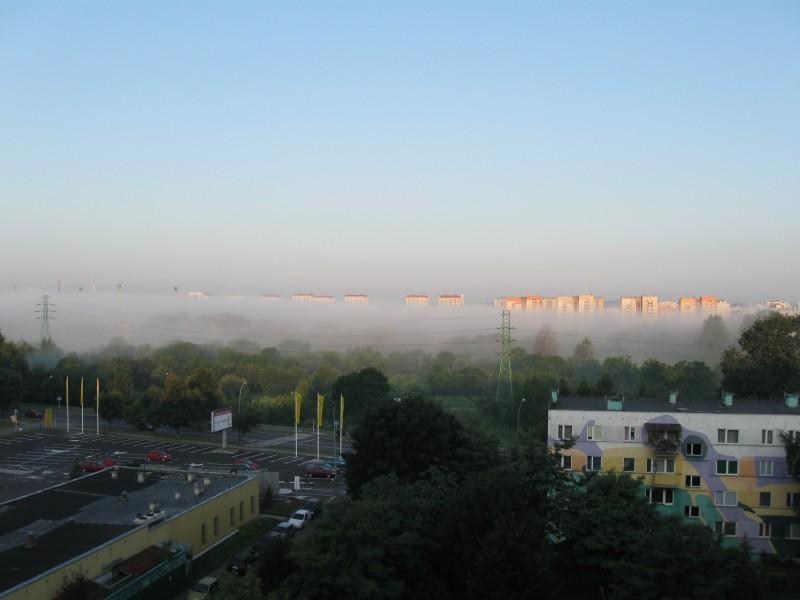 Ciekawa mgła o poranku.
