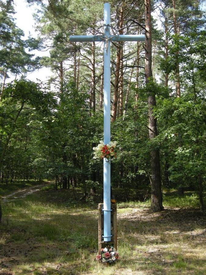 Błękitny krzyż