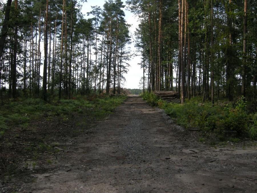 Przesiewka