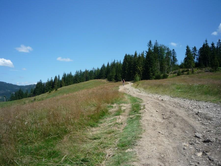 dalej na szlaku