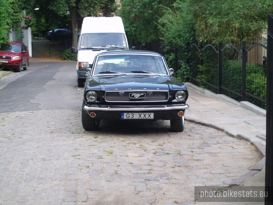 Mustang