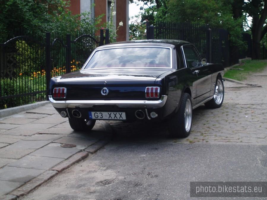 Mustang