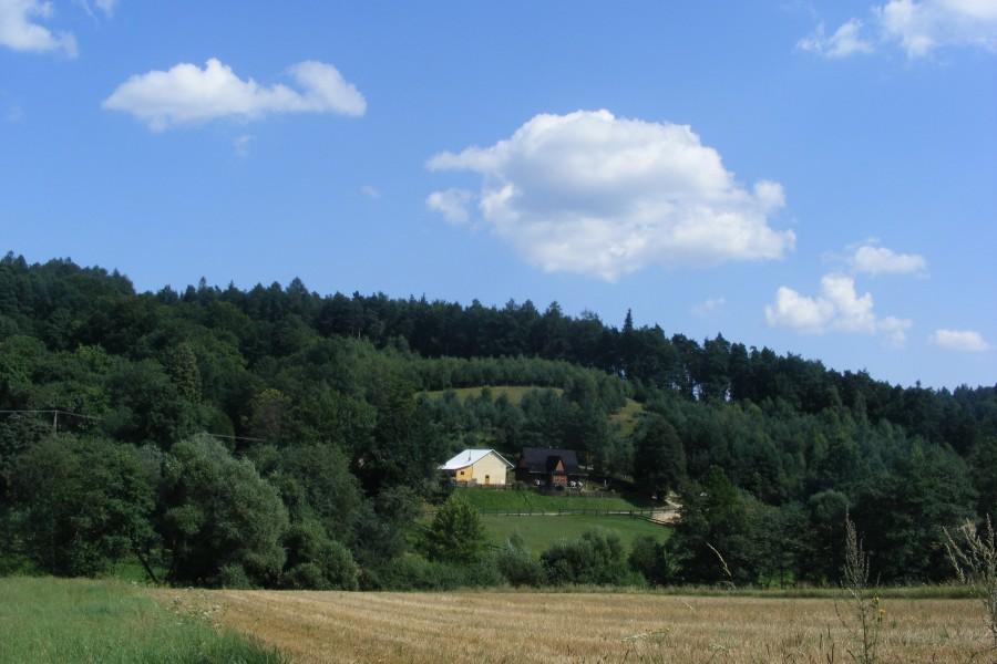 Widok przy podjeździe ze Straszydla w stronę Lecki