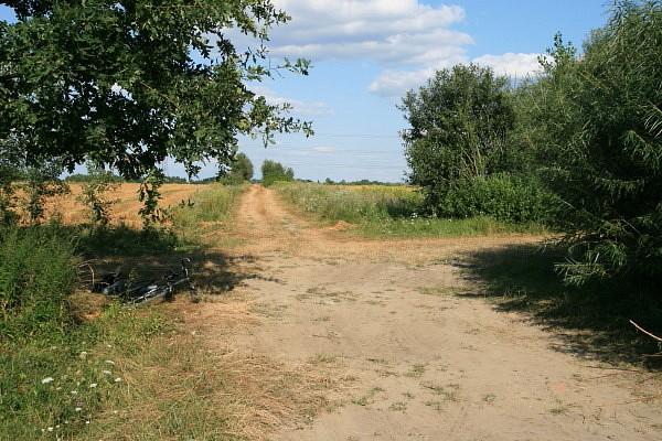 Skrzyżowanie pod Rynkiem