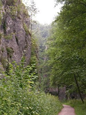 Dolina Mnikowska 4