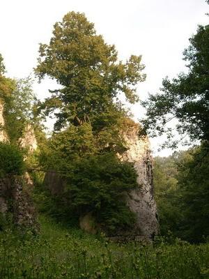 Dolina Mnikowska 5