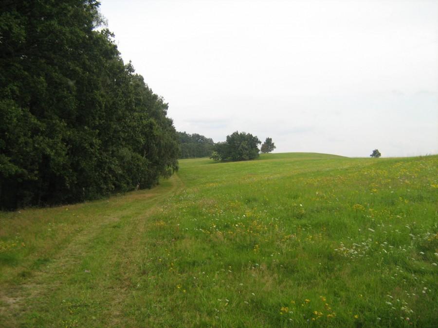 Góra Guślarz