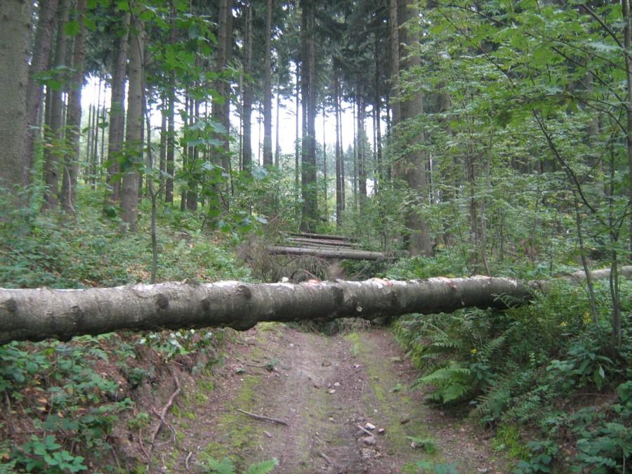 Kłody pod koła