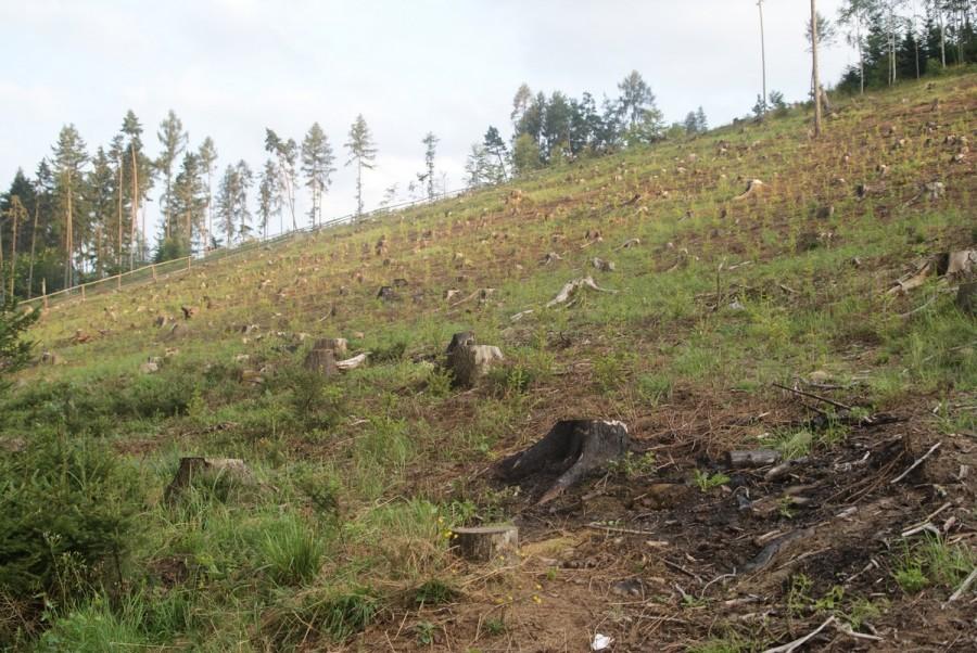 Całkiem jak w Beskidach