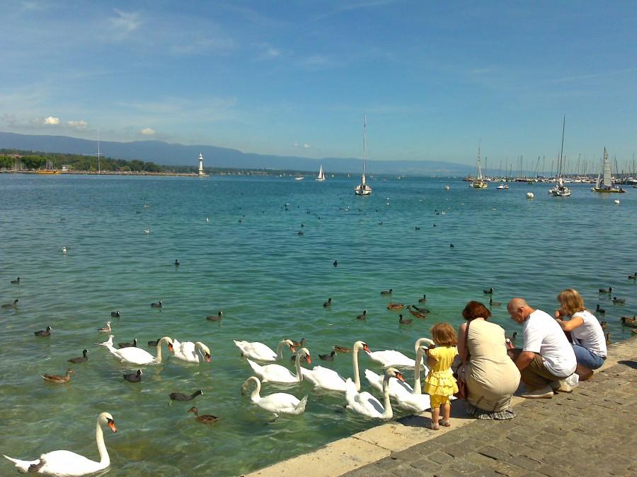 Geneva