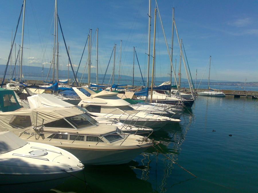 Marina