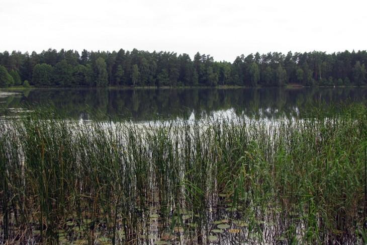 Jezioro Świdno