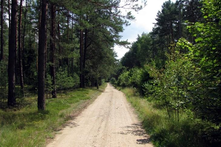 Droga z Białej do Brodów