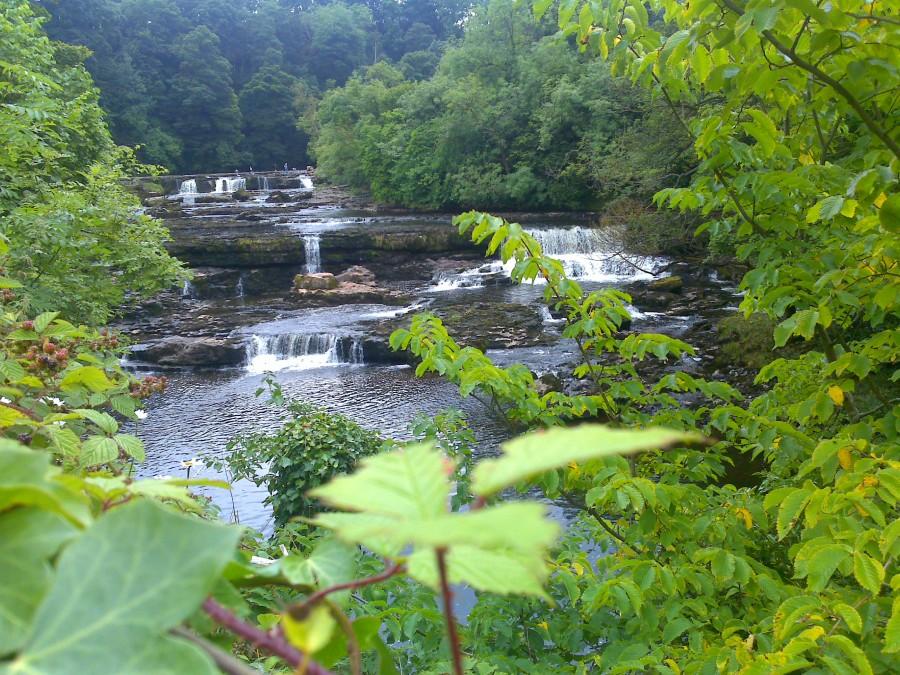 Aysgarth Falls