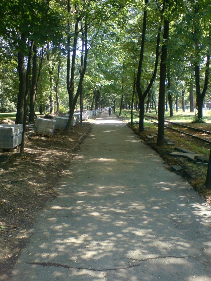 Park Miejski w Bytomiu