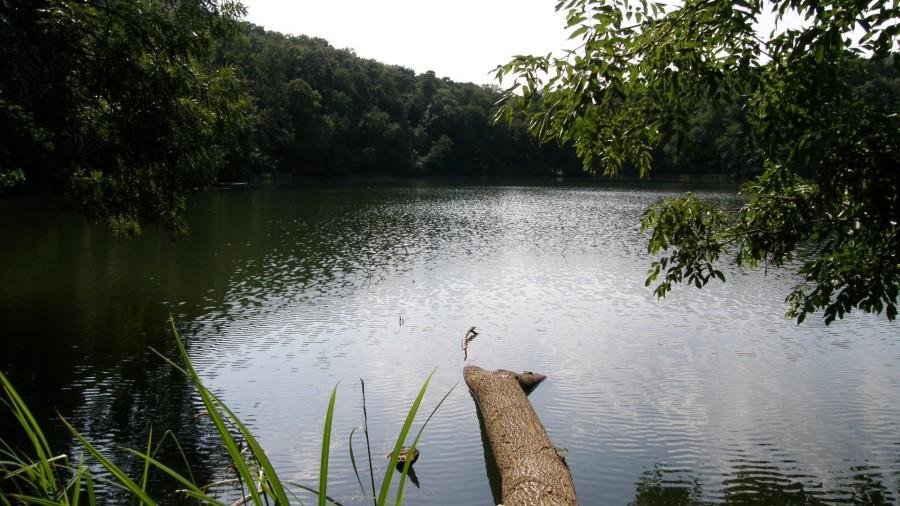 Jezioro Kociołek
