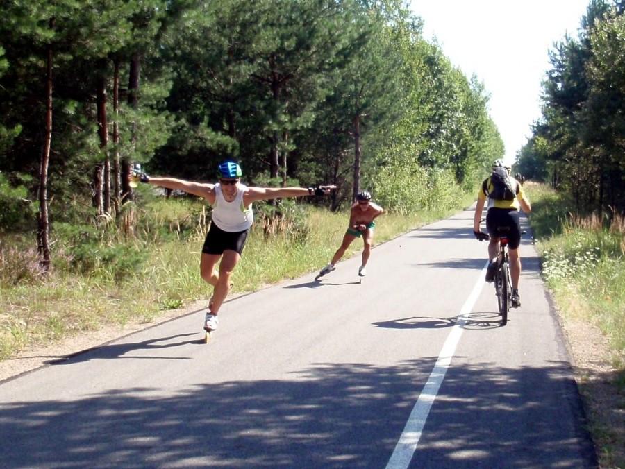 Rolkarze, pokrewne dusze