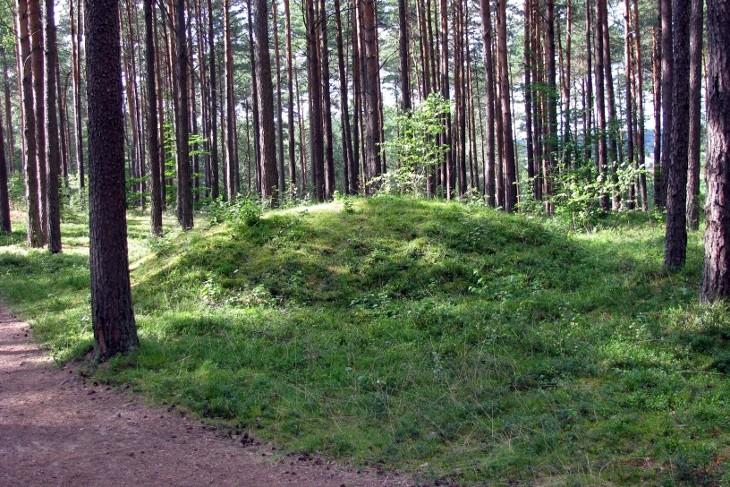 Kurhan w pobliżu Leśna