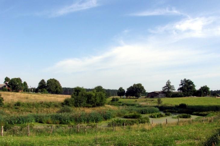 Okolice Zapędowa