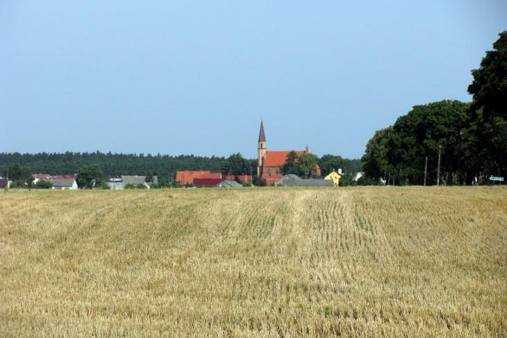 Raciąż z daleka