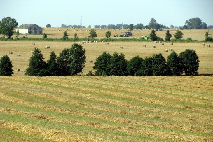 Krajobraz spod Borów Tucholskich