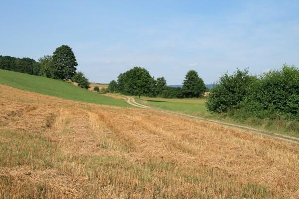 Droga do Bielowów