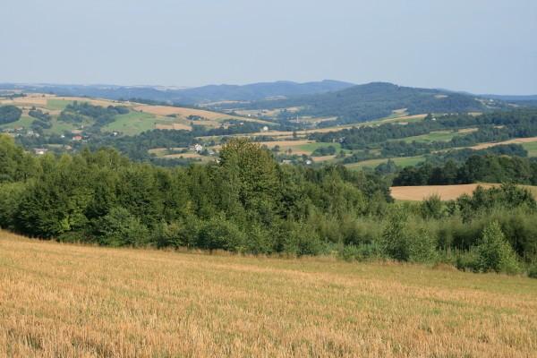 Klonowa Góra