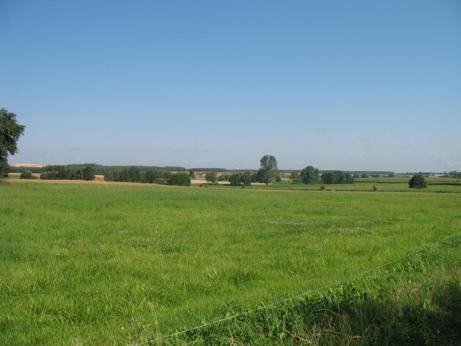 Widoczek