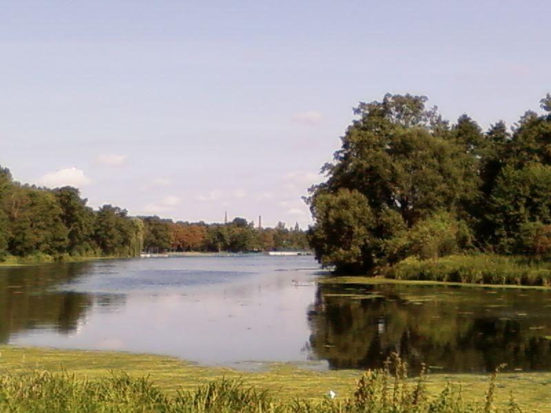 Staw Stefańskiego