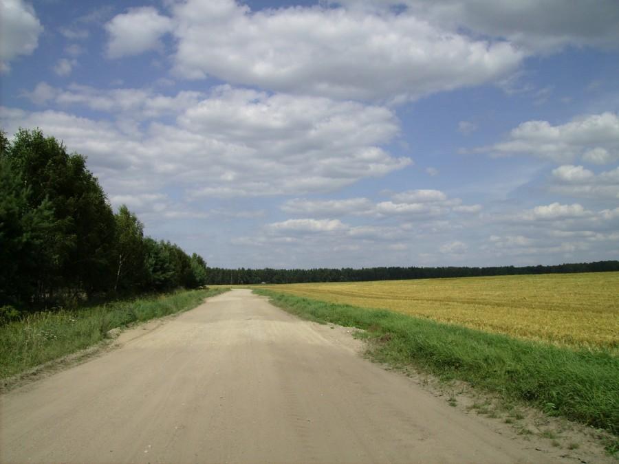 Mazury, dookoła J. Niegocin