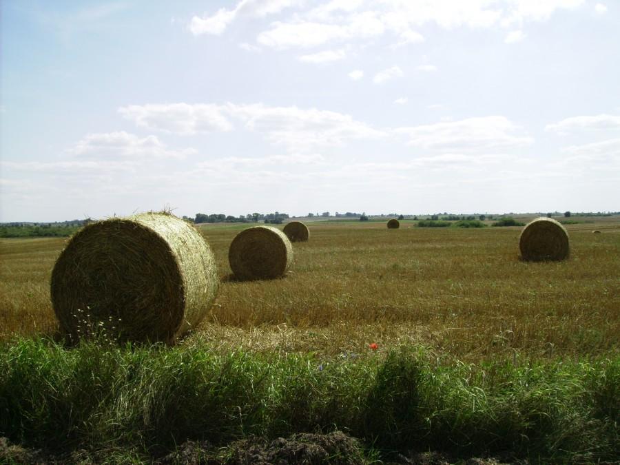 Mazury