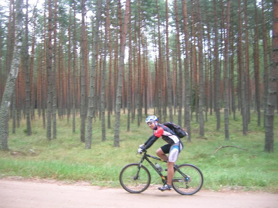 67914.jpg