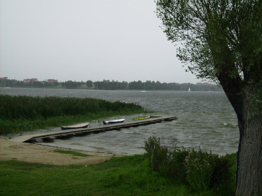 Wzburzone J. Tałty