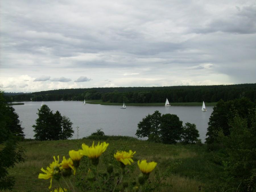J. Ryńskie