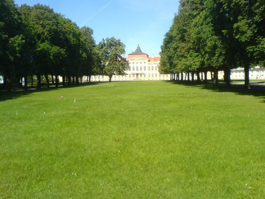 Pałac w Rogalinie