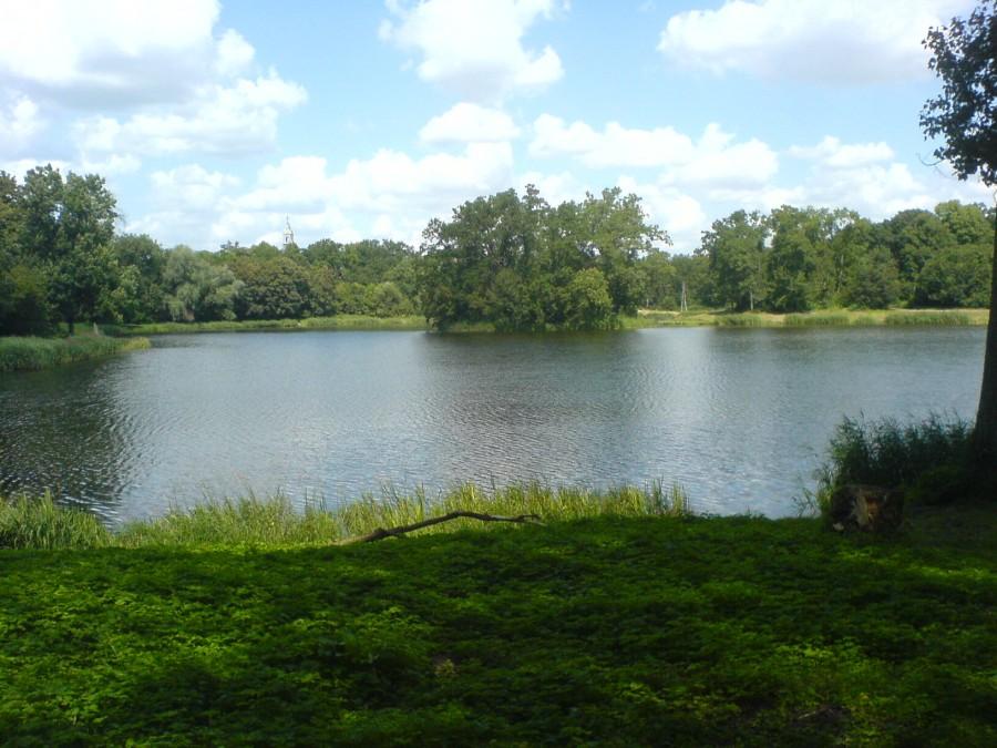 Staw deszczownia