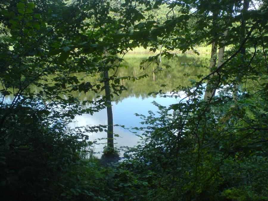 jezioro Cyganek