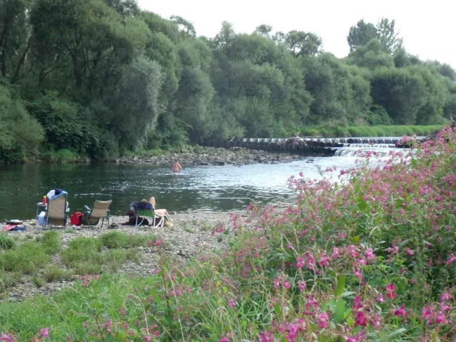 Wypoczywający nad Sołą