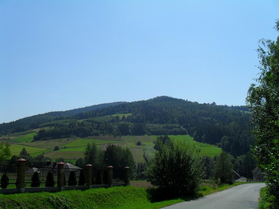 Widok na Rosochatke z zjazdu od Mogilna