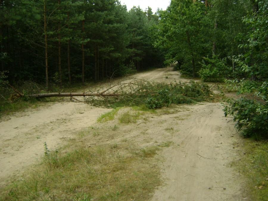 Naturalny szlaban :)