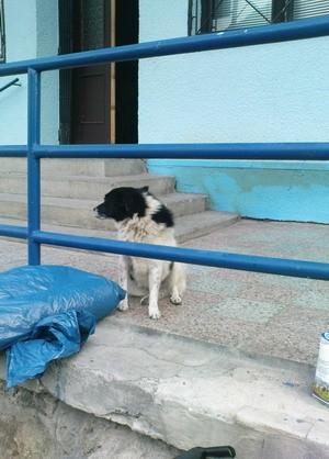 Kolega z baru w Kalamenach