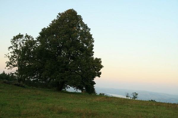 Chełm