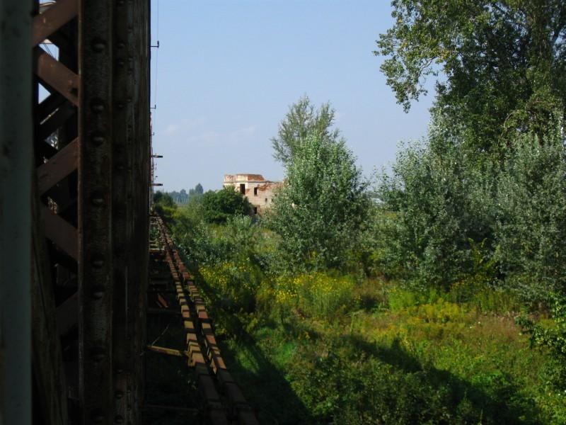 Widok z drugiego brzegu Wisłoka.