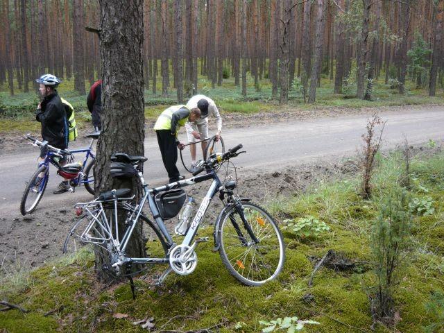 Wycieczka forumowiczów Rowerowa Ostrołęka do Łysych