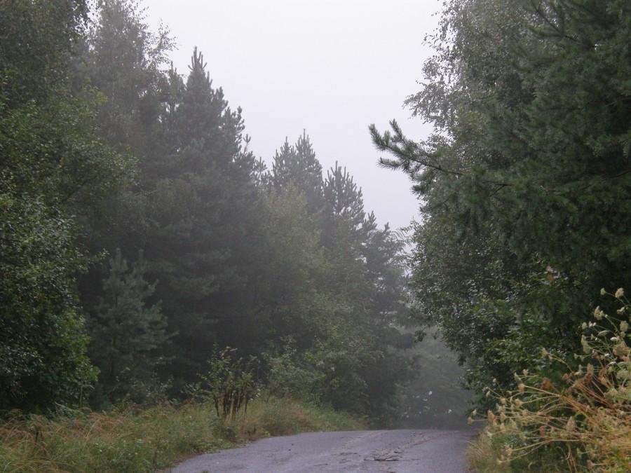Kosmiczny Rajd na Orientację