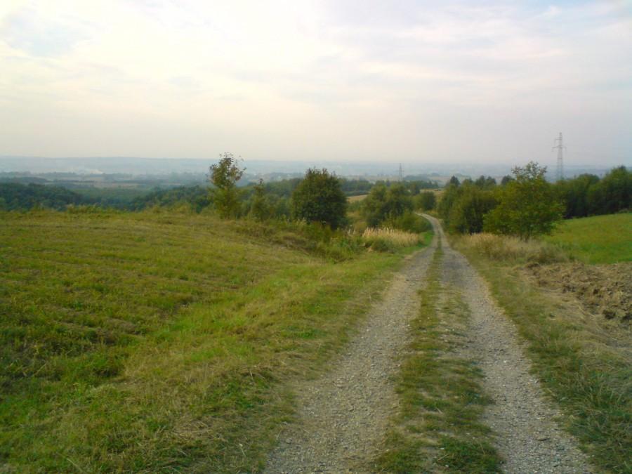 Zjazd z Przylasku