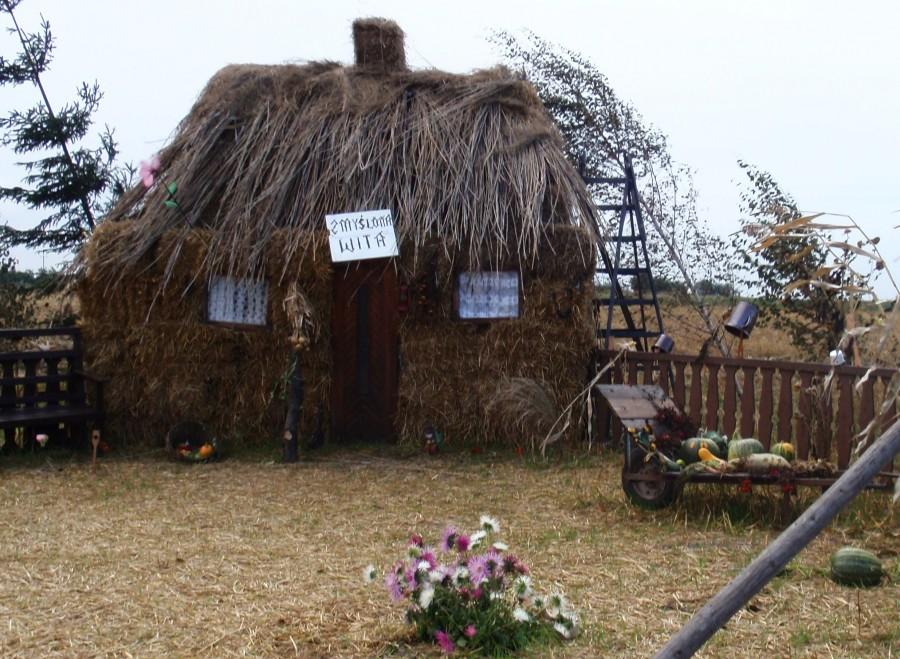 Zmyślona wita