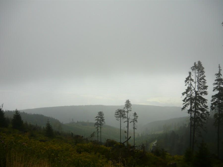 Widok