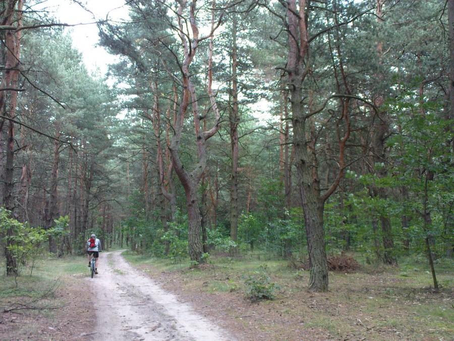 Jura, okolice Olsztyna