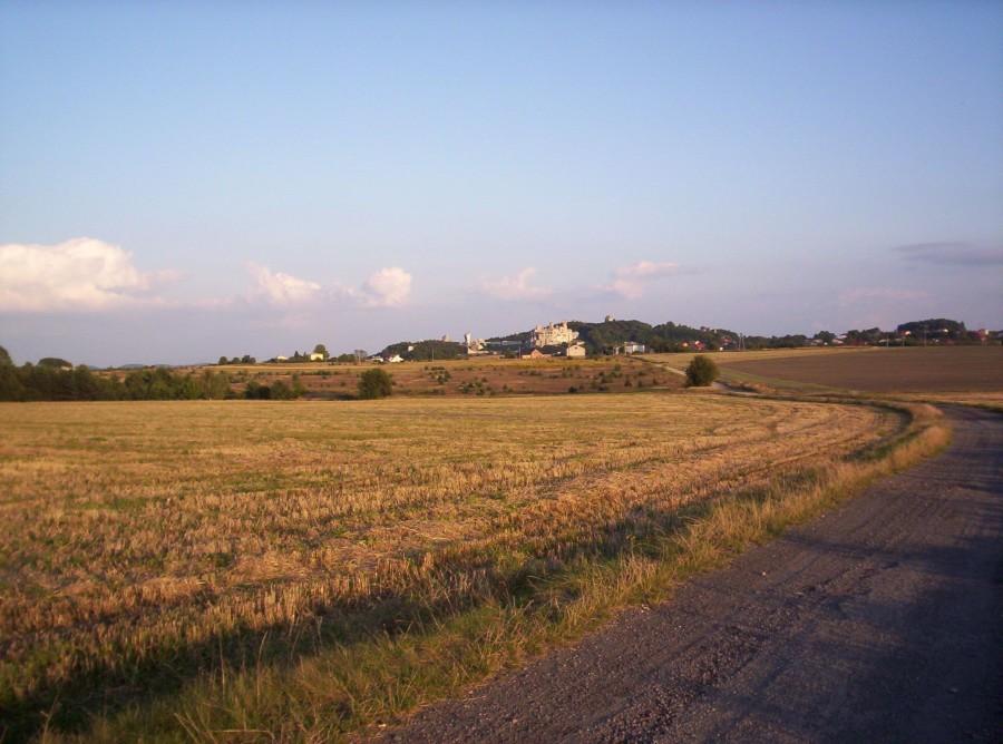Zamek Ogrodzieniec